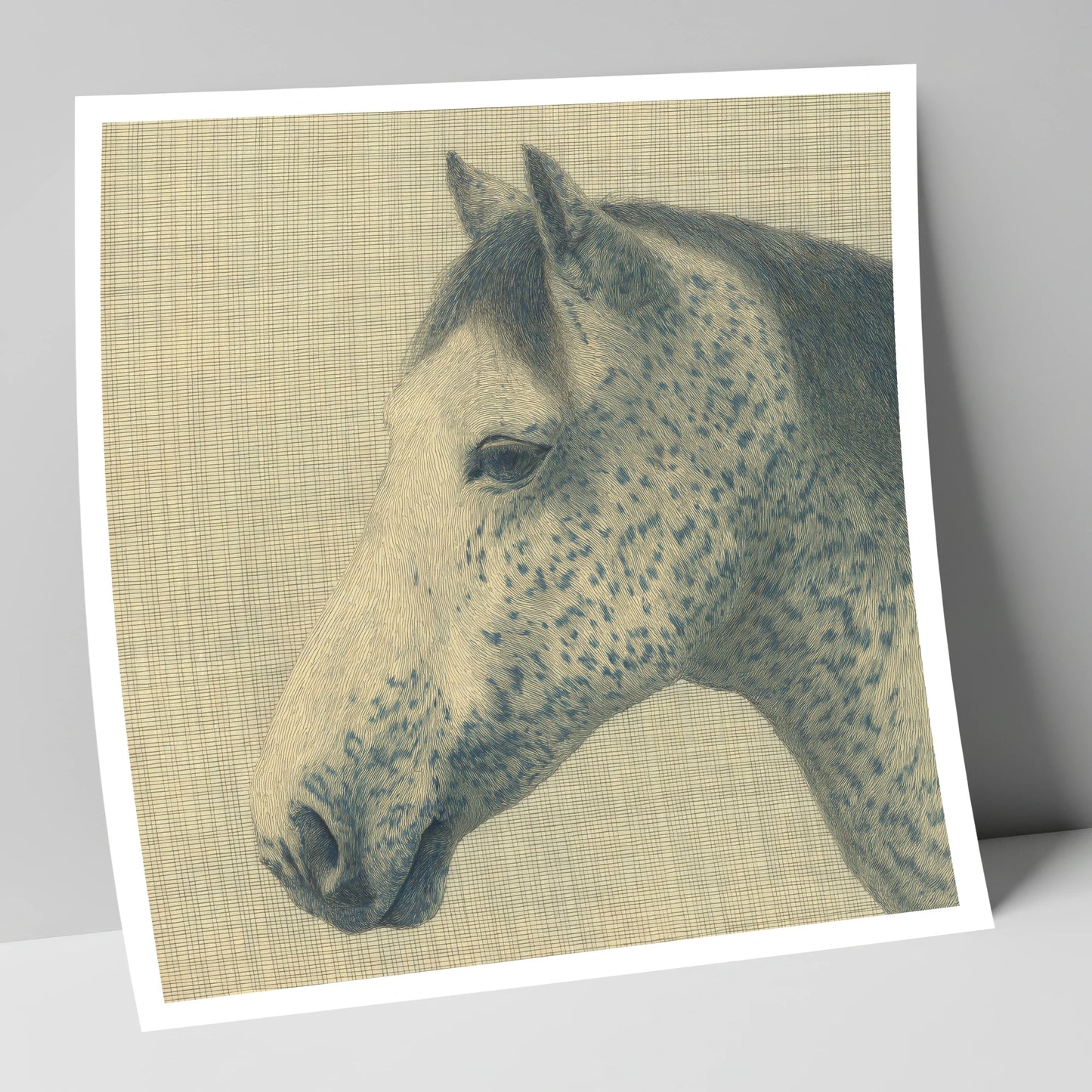 Meticulous Speckled Grey horse breed art print