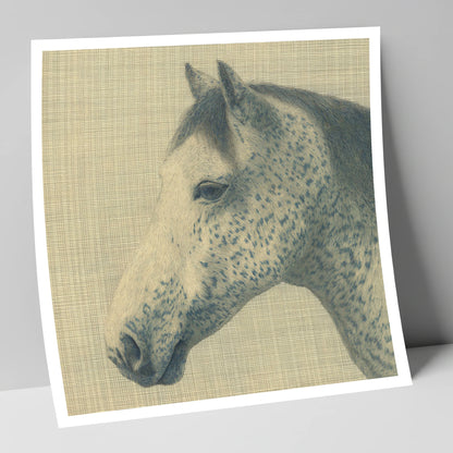 Meticulous Speckled Grey horse breed art print