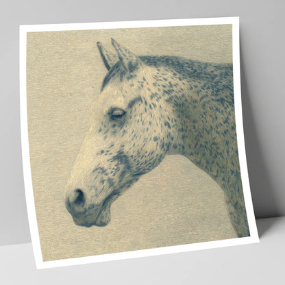 Meticulous Equine Profile horse breed art print