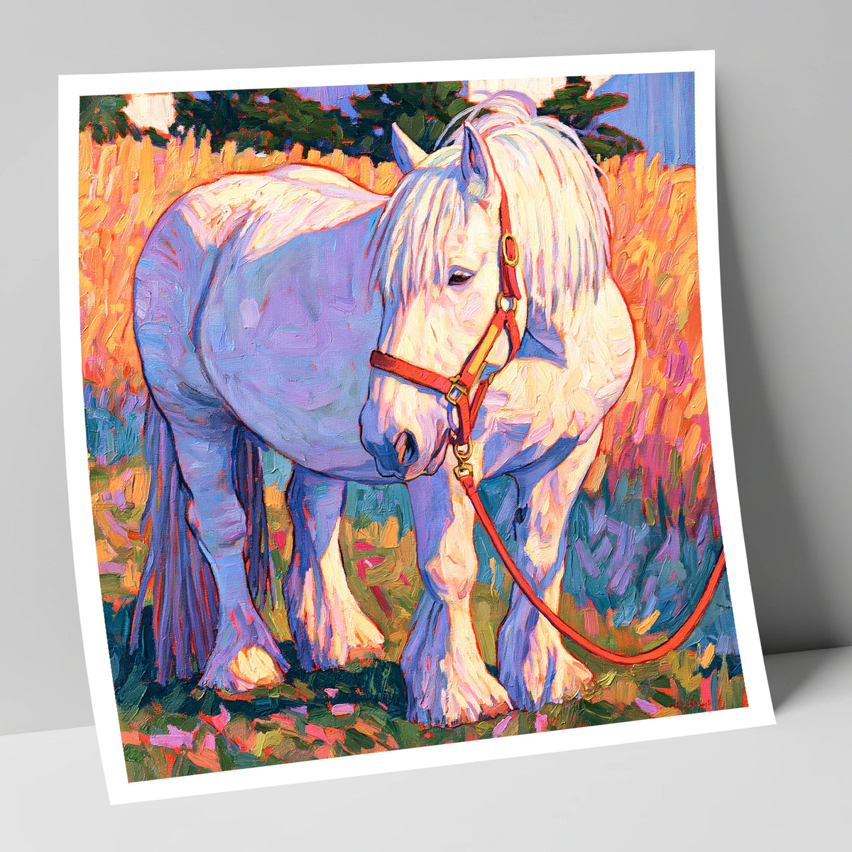 Feathered Cob in Vibrant Light horse breed art print