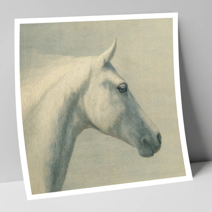 Classic Grey Profile horse breed art print