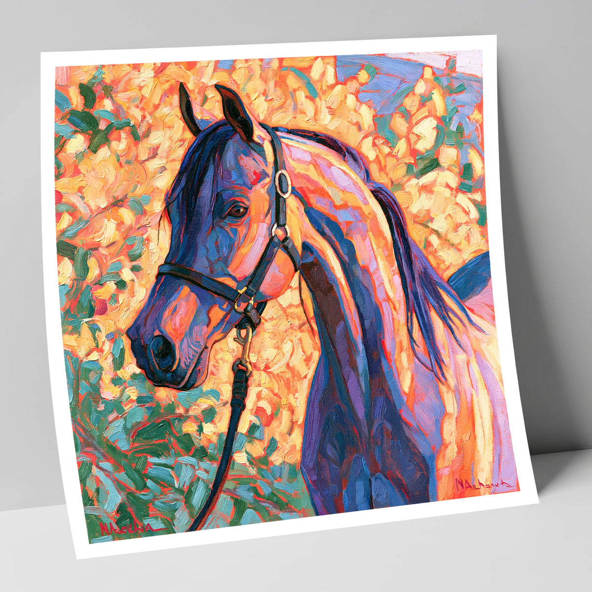 Arabian Horse in Vibrant Colours horse breed art print
