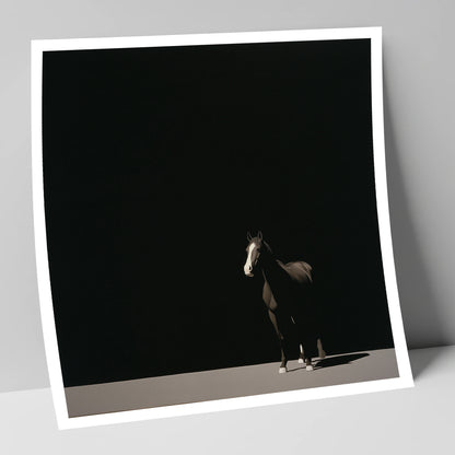 Midnight Solitude horse portrait art print