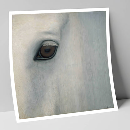 Quiet Gaze of the Grey horse portrait art print
