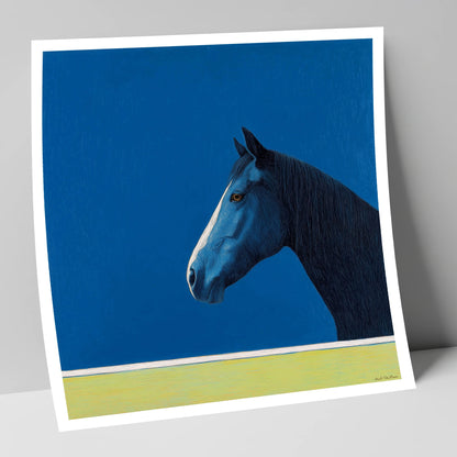 Midnight Blue Blaze horse portrait art print