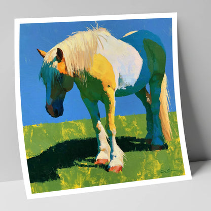 Colourful Cob in Summer Sunlight horse breed art print