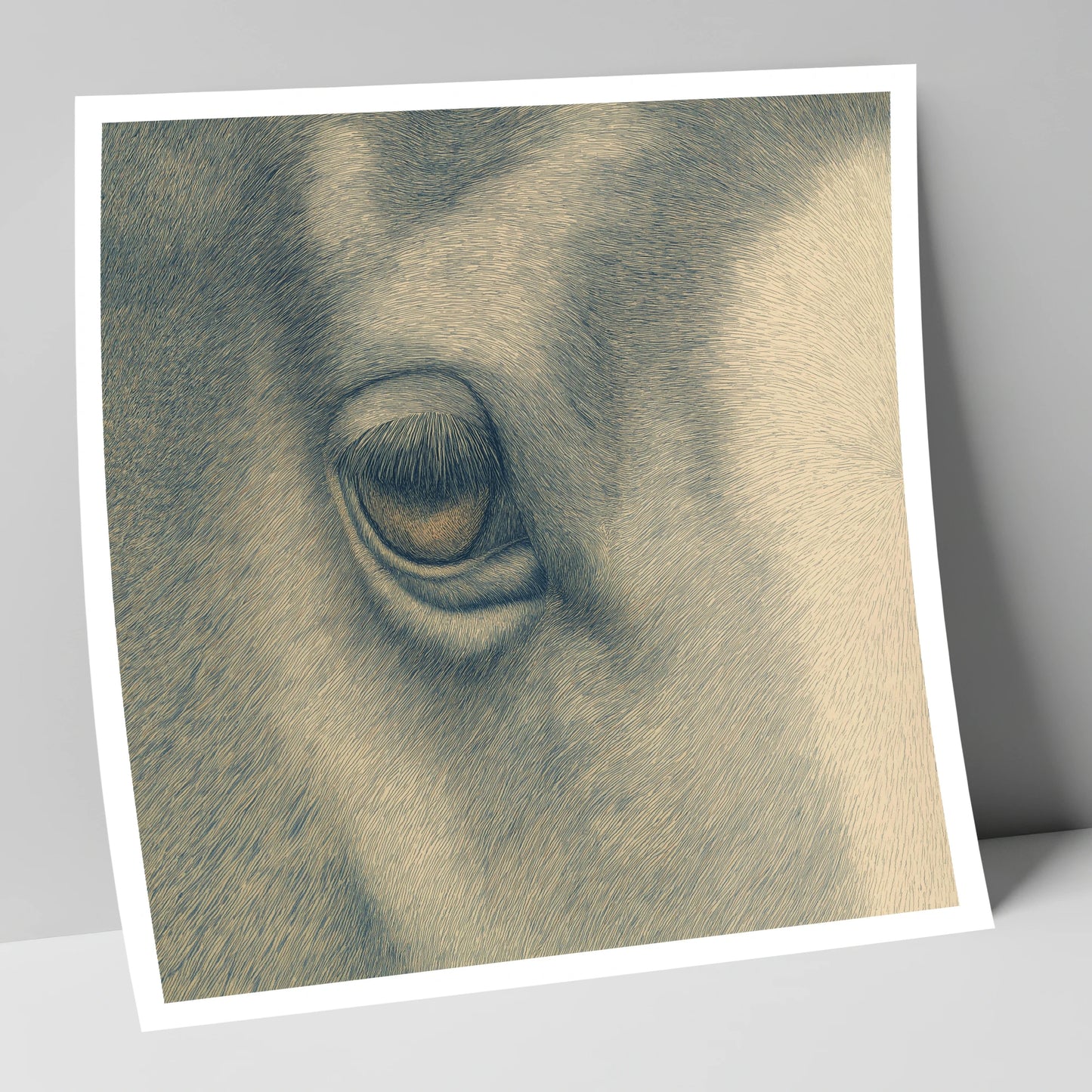 The Gentle Eye horse portrait art print