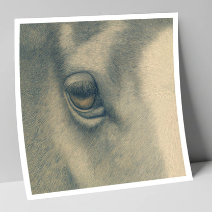 The Gentle Eye horse portrait art print
