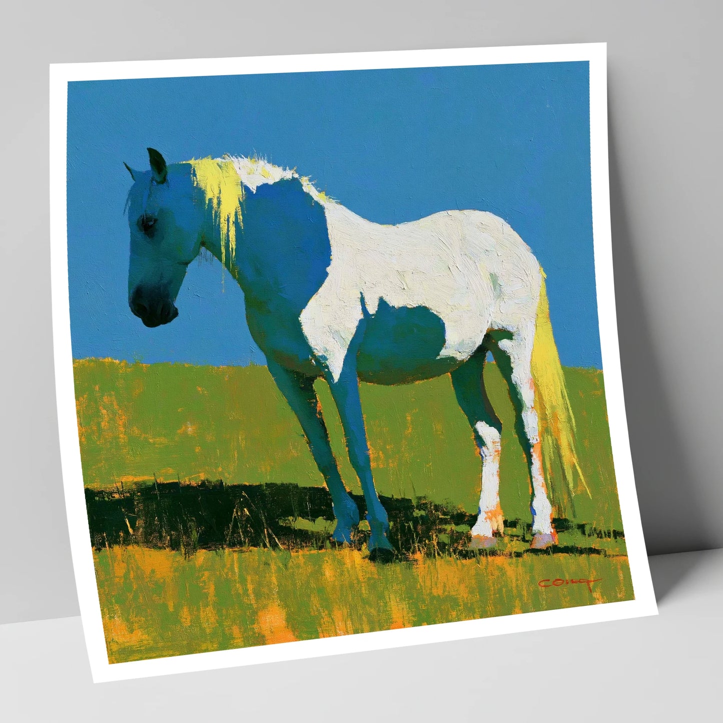 White Horse With Indigo Shadows horse breed art print