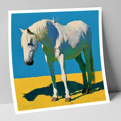 Sunlit Grey Horse Blue Sky horse breed art print