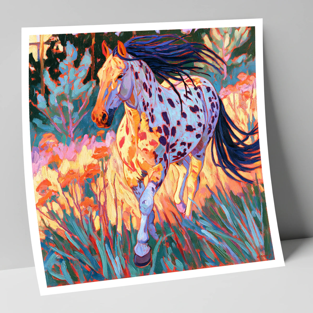 Colourful Appaloosa at Canter horse breed art print