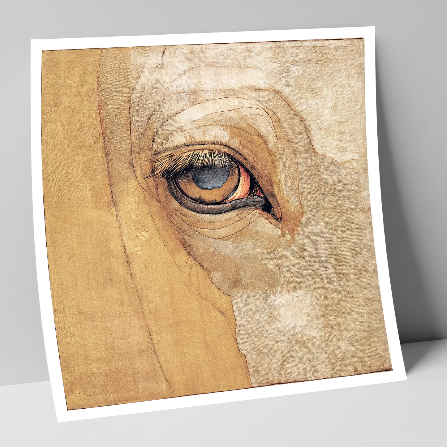 The Golden Gaze horse portrait art print