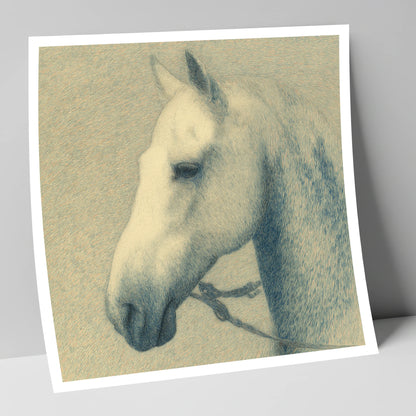 Quiet Nobility In Profile horse portrait art print