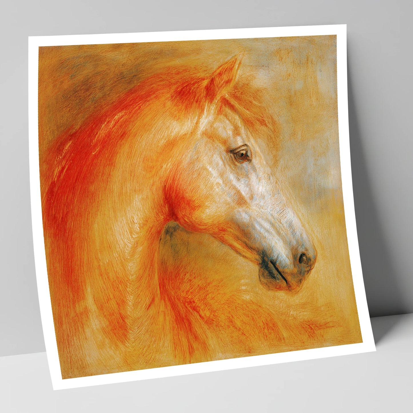 Radiant Equine Profile horse portrait art print