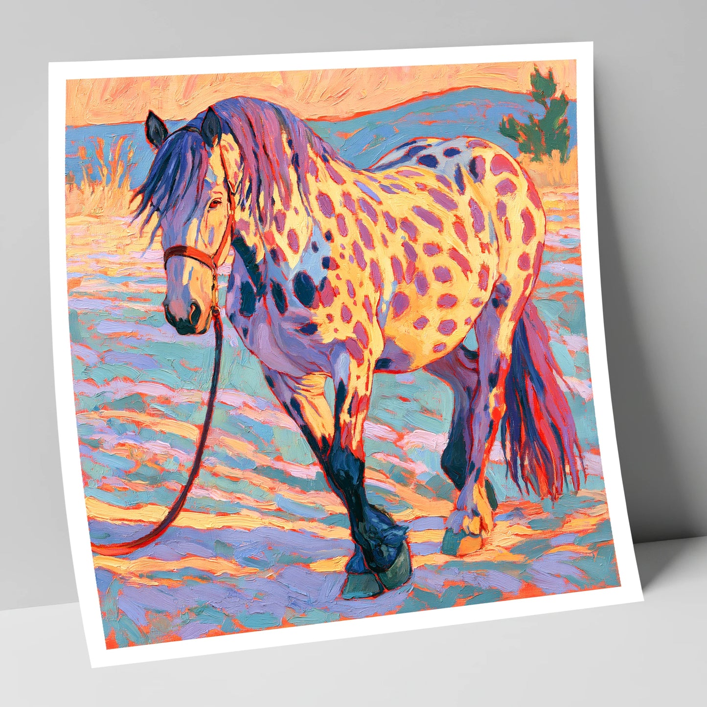 Colourful Appaloosa in Sunset Light horse breed art print