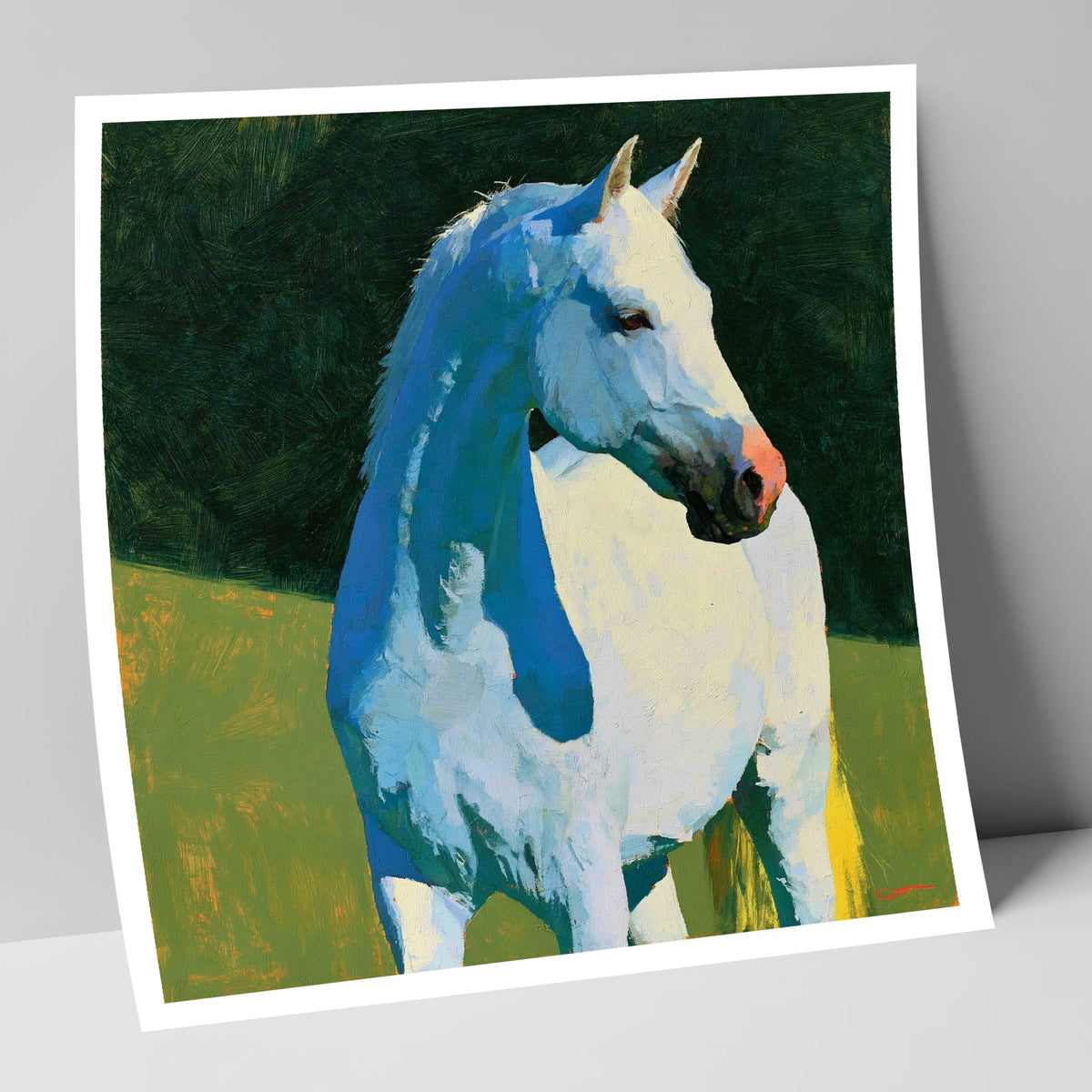 Grey Horse with Blue Shadows horse breed art print