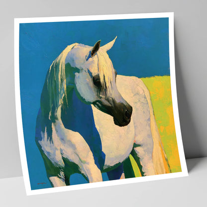 Sunlit Grey Arabian Horse horse breed art print
