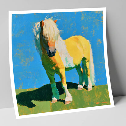 Sunlit Shetland Pony Portrait horse breed art print