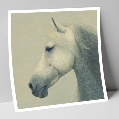 Timeless Grey Profile horse breed art print