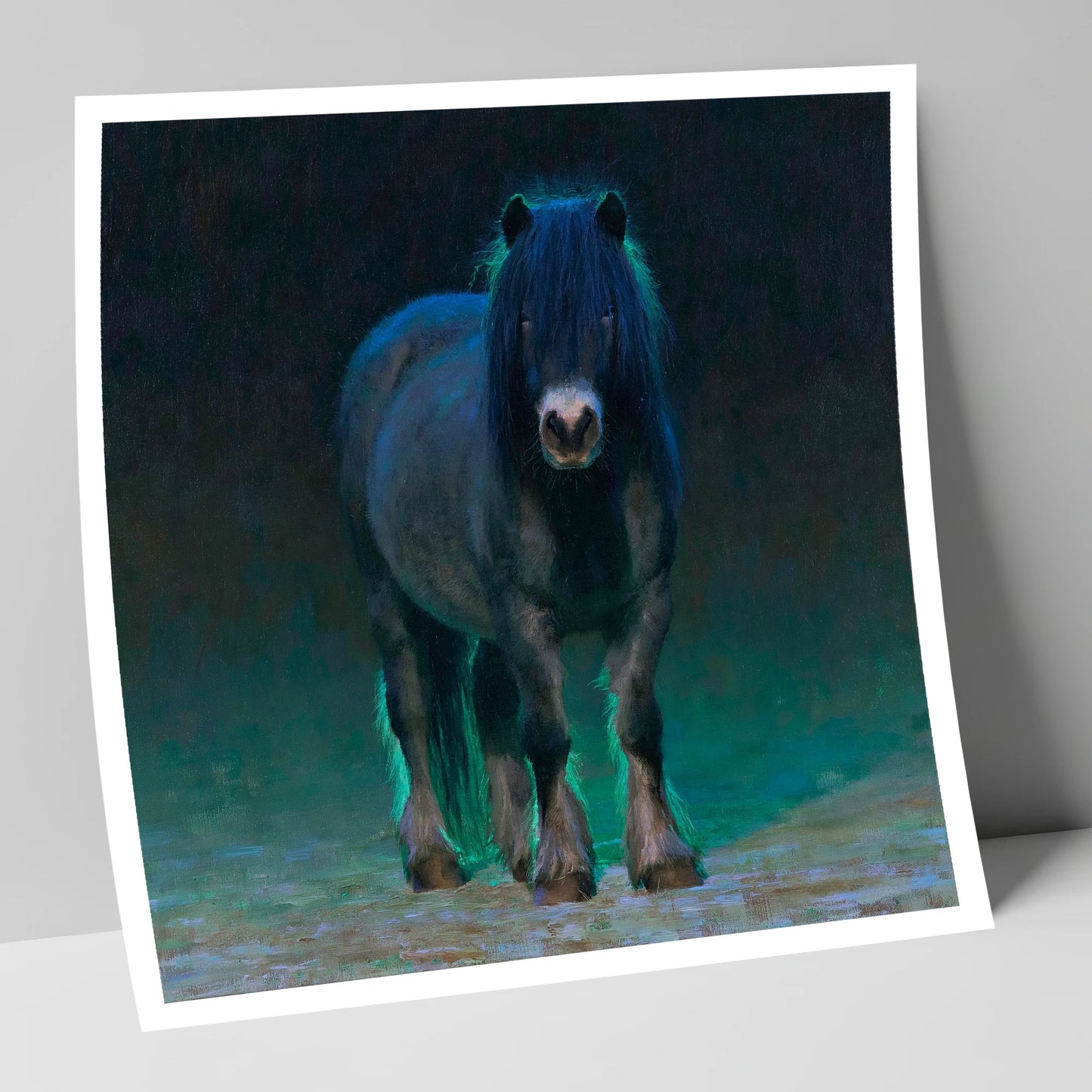 Black Shetland Pony in Moonlight horse breed art print