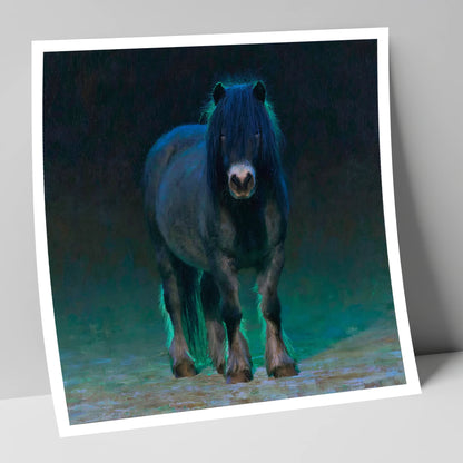 Black Shetland Pony in Moonlight horse breed art print
