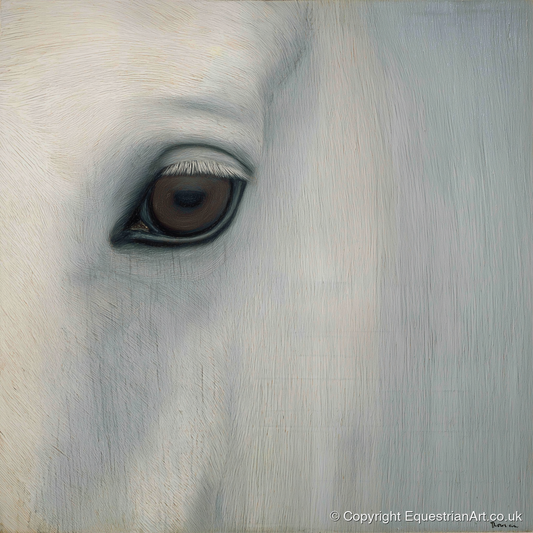 Quiet Gaze of the Grey - horse portrait art print and canvas by Constance Haywood A.I