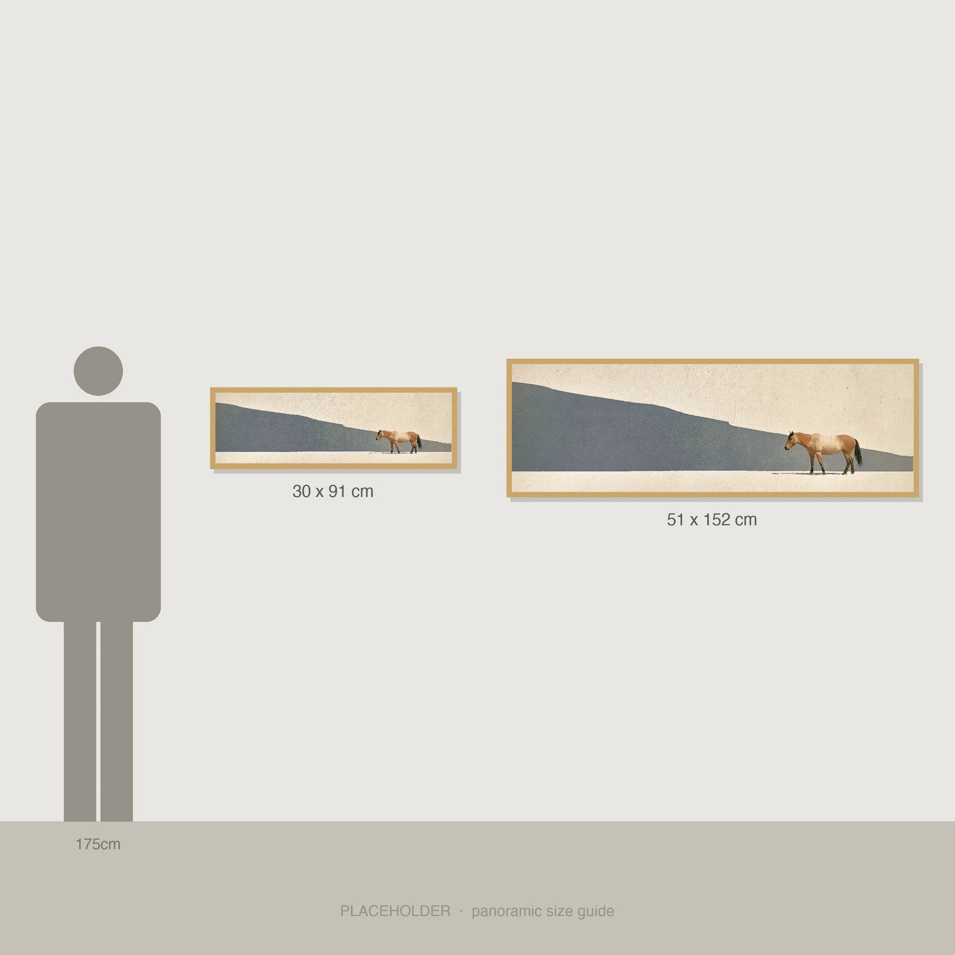 Quiet Contours - panoramic size guide showing 30x91cm and 51x152cm
