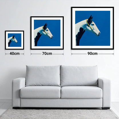 Azure Piebald Profile - size guide showing 40cm, 70cm and 90cm art prints