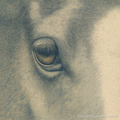 The Gentle Eye - horse portrait art print and canvas by Arthur Sterling A.I