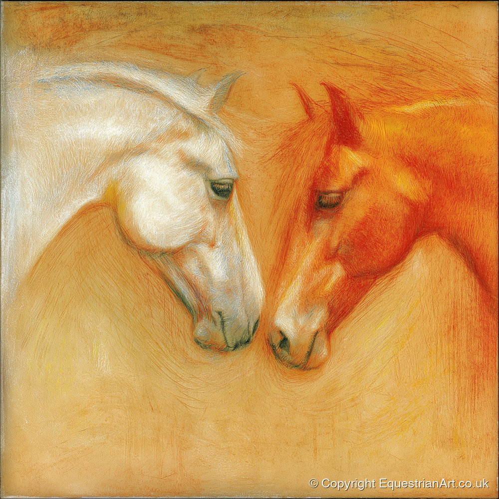 The Quiet Connection - horse portrait art print and canvas by Douglas Fairley A.I