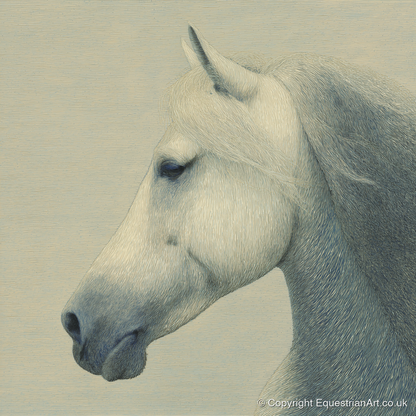 Timeless Grey Profile - horse breed art print and canvas by Arthur Sterling A.I