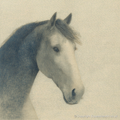 Vintage Slate Equine Profile - horse breed art print and canvas by Arthur Sterling A.I